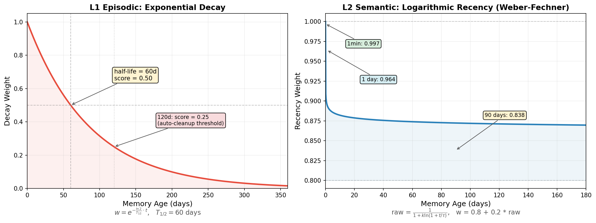 ClickMem time decay curves — L1 episodic (exponential) vs L2 semantic (logarithmic)